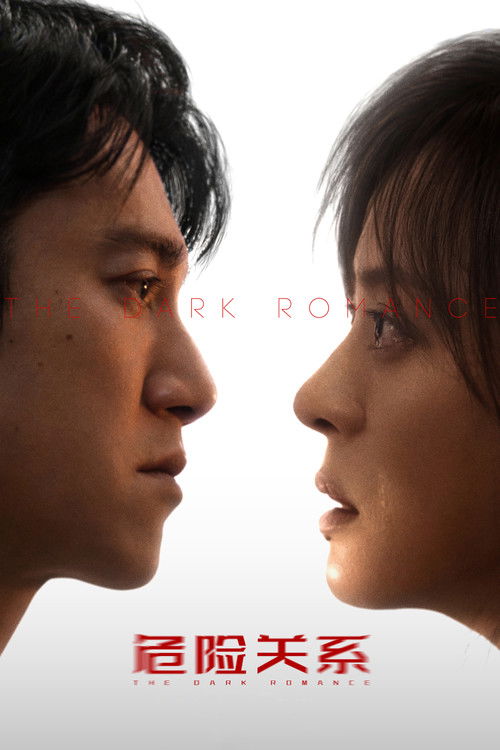Póster de 危险关系