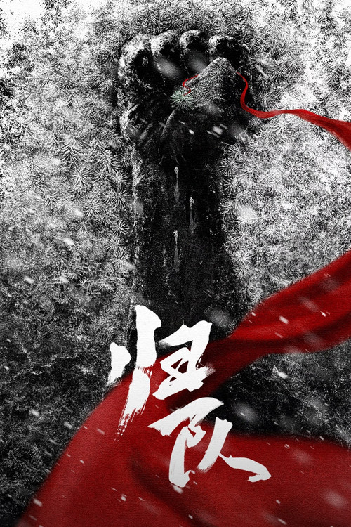 Póster de 归队