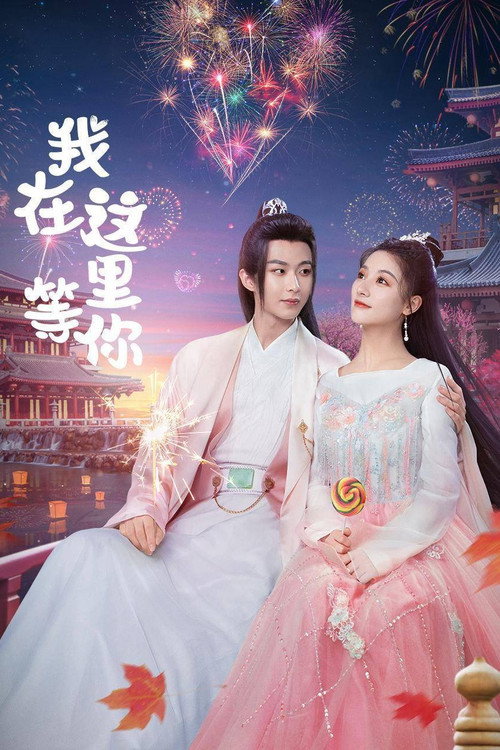 Póster de 我在这里等你