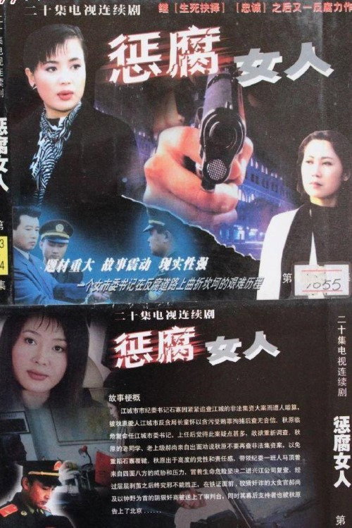 Póster de 惩腐女人
