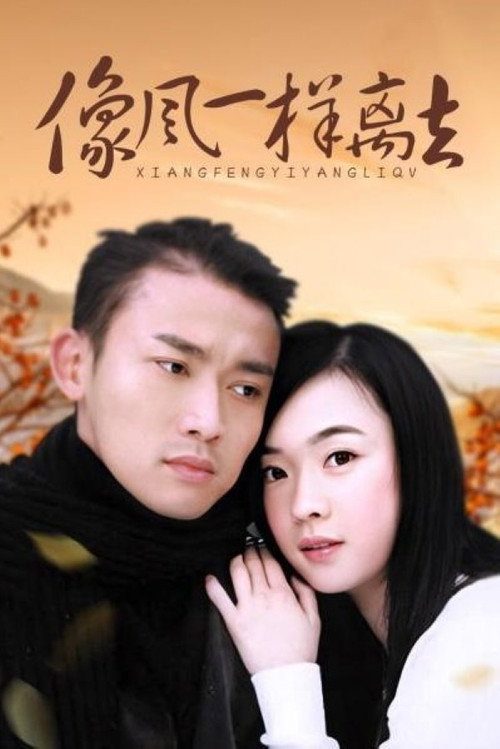 Póster de 像风一样离去