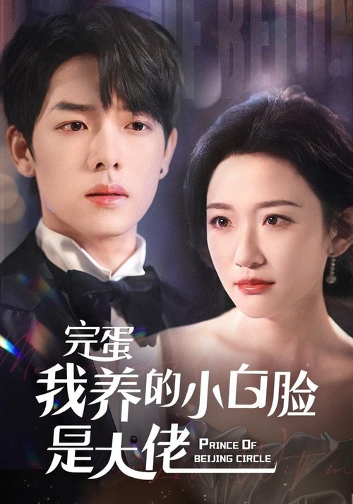 Póster de 完蛋我养的小白脸是大佬