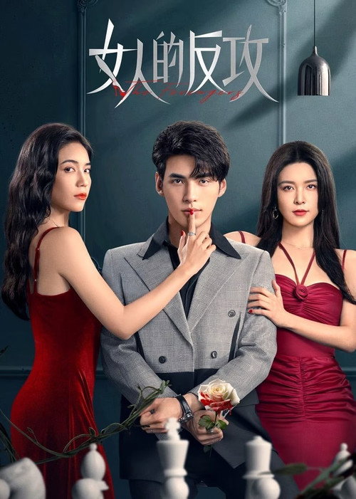 Póster de 女人的反攻