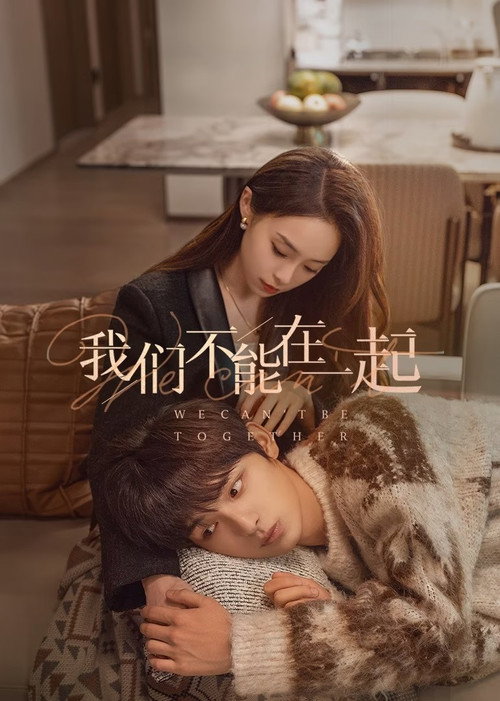 Póster de 我们不能在一起