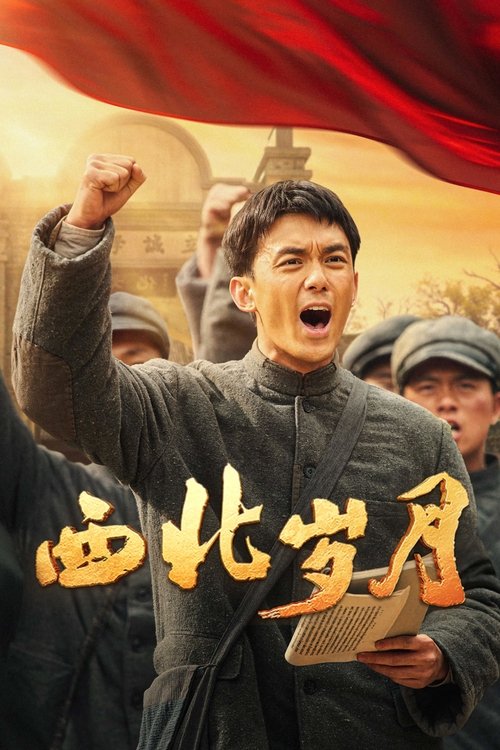 Póster de 西北岁月