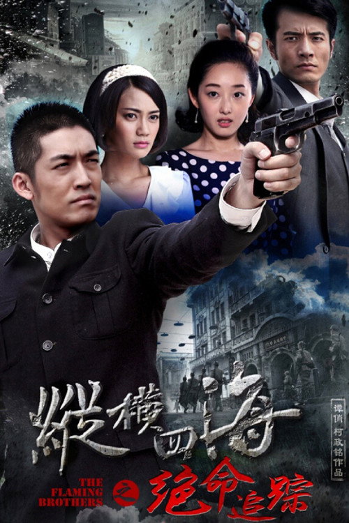 Póster de 绝命追踪