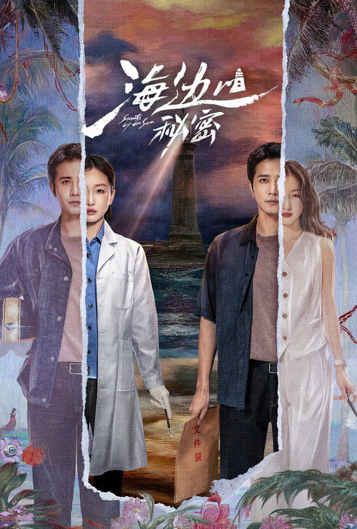 Póster de 海边的秘密