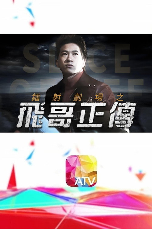 Póster de 鐳射劇場之飛哥正傳
