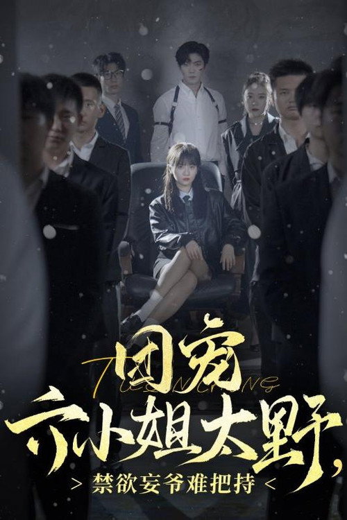 Póster de 团宠六小姐太野，禁欲妄爷难把持