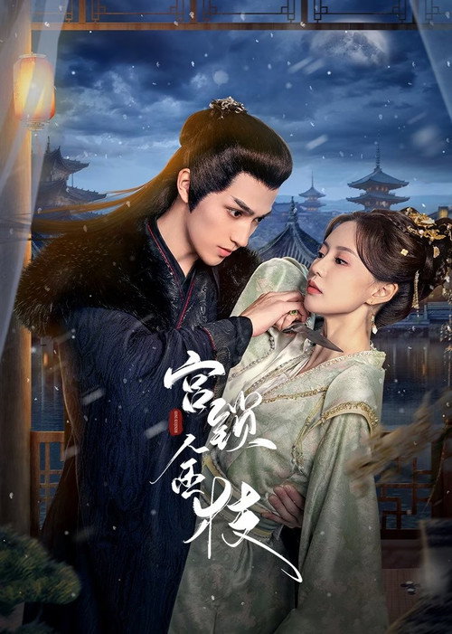 Póster de 宫锁金枝