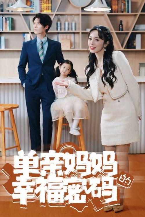 Póster de 单亲妈妈的幸福密码