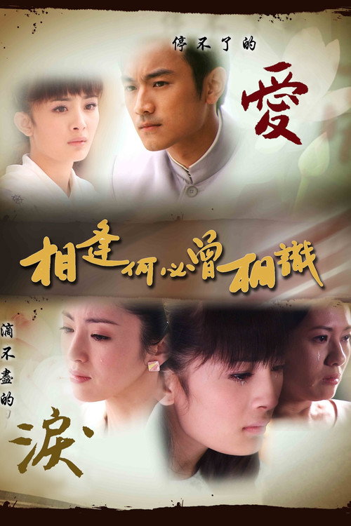 Póster de 相逢何必曾相识