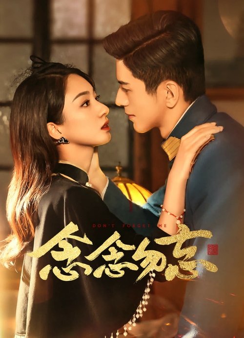 Póster de 念念勿忘