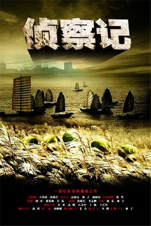 Póster de 侦察记