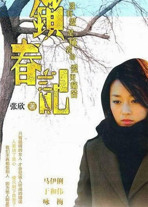 Póster de 锁春记