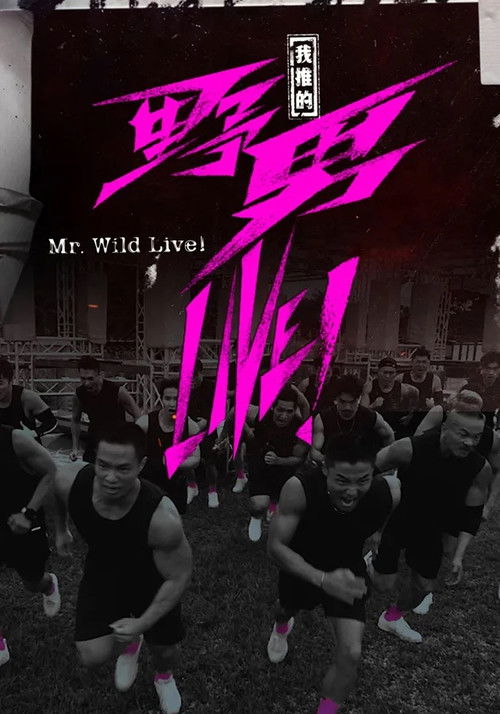 Póster de 我推的野男LIVE!