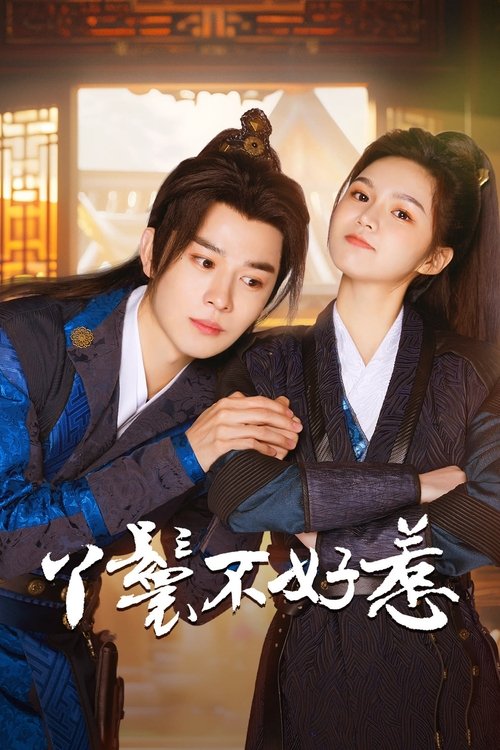 Póster de 丫鬟不好惹