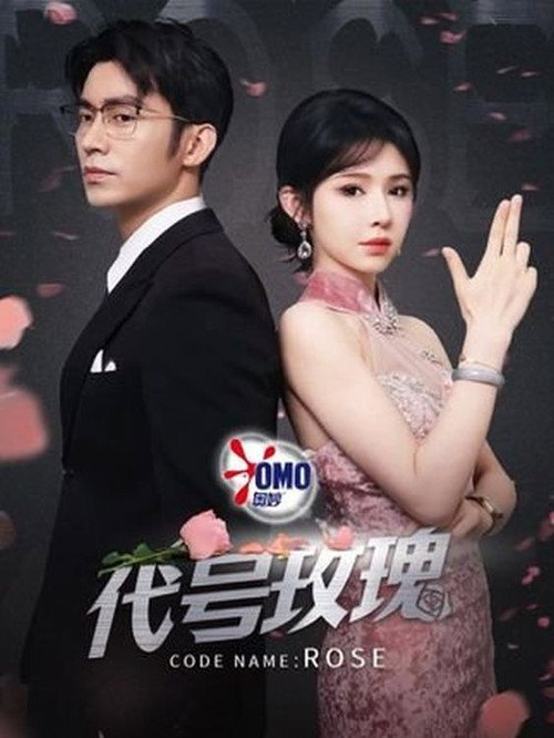Póster de 代号玫瑰