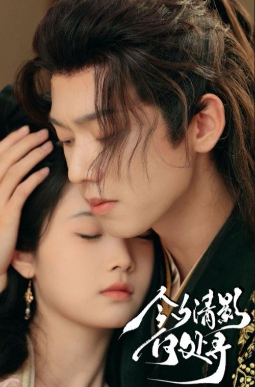 Póster de 今夕清影何处寻