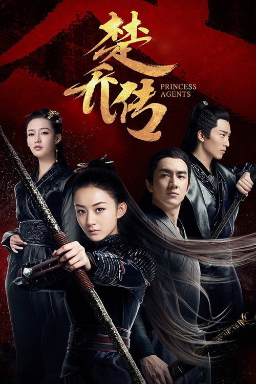 Póster de 楚乔传 DVD版