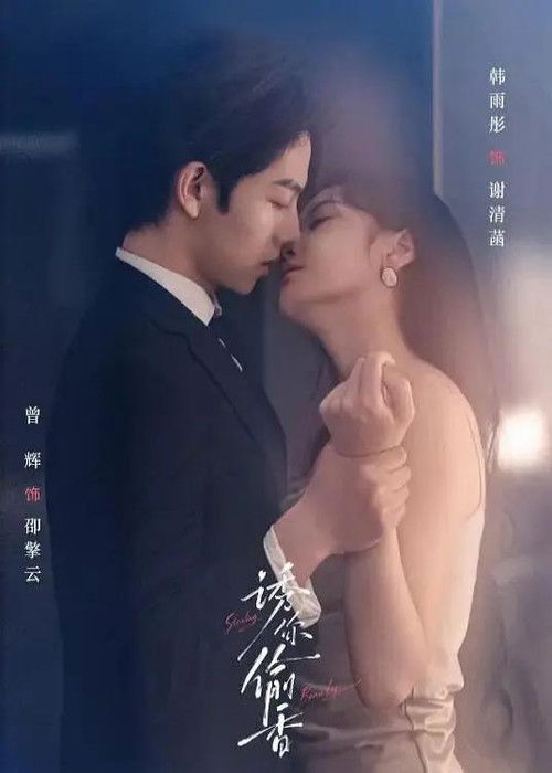 Póster de 诱你偷香