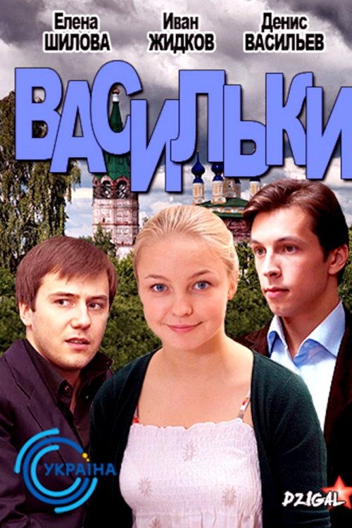 Póster de Васильки