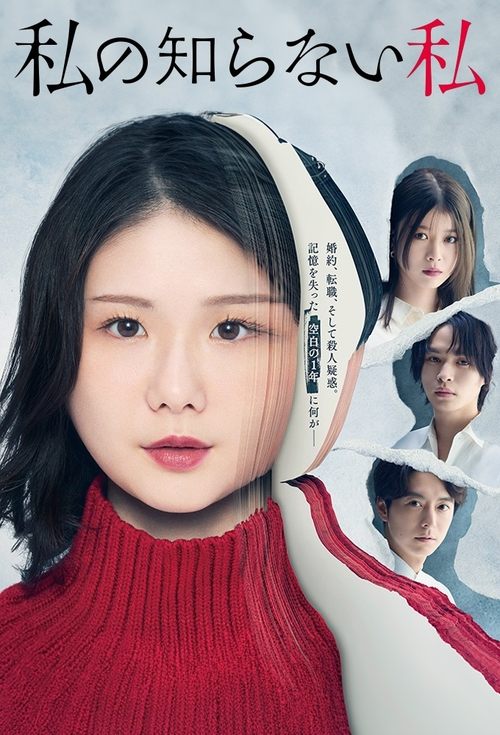 Póster de 私の知らない私