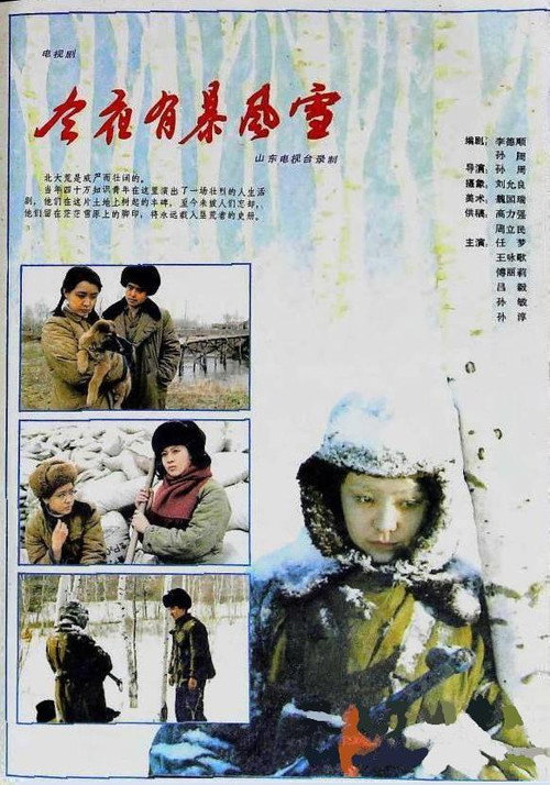 Póster de 今夜有暴风雪