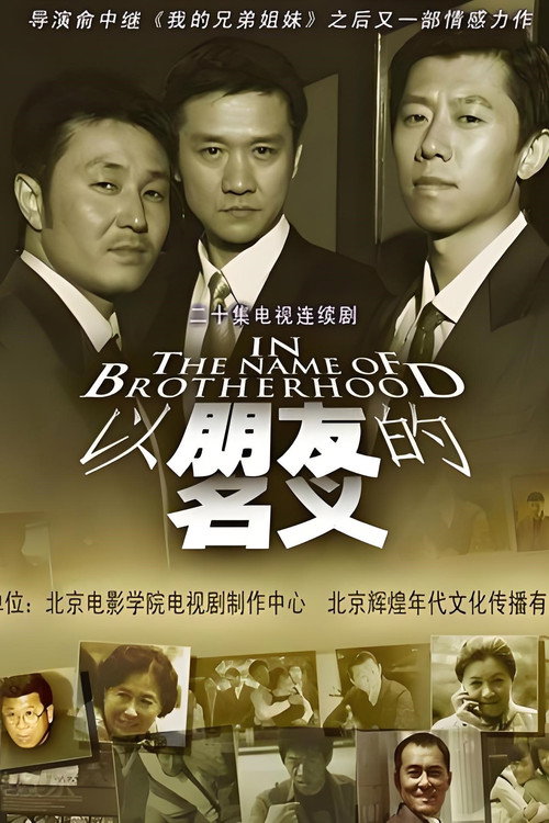 Póster de 以朋友的名义