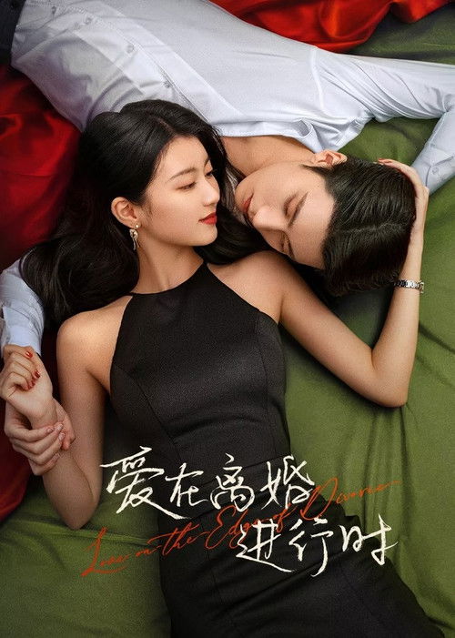 Póster de 爱在离婚进行时