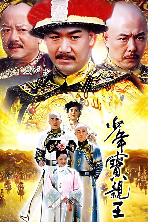 Póster de 少年宝亲王