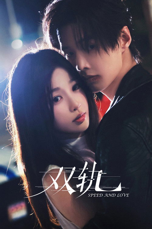 Póster de 双轨