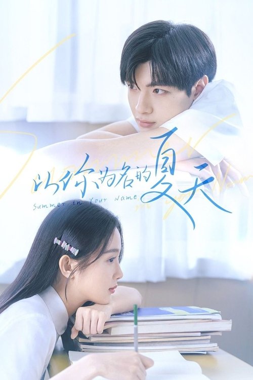 Póster de 以你为名的夏天