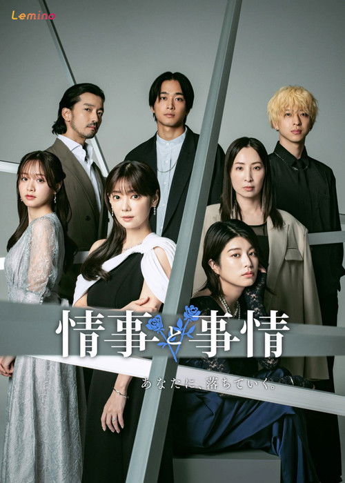 Póster de 情事と事情