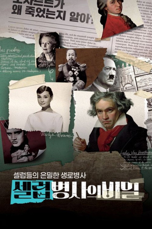 Póster de 셀럽병사의 비밀