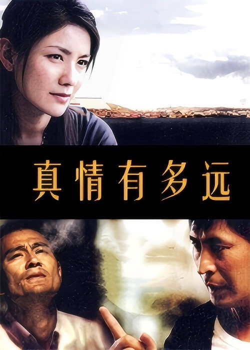 Póster de 真情有多远