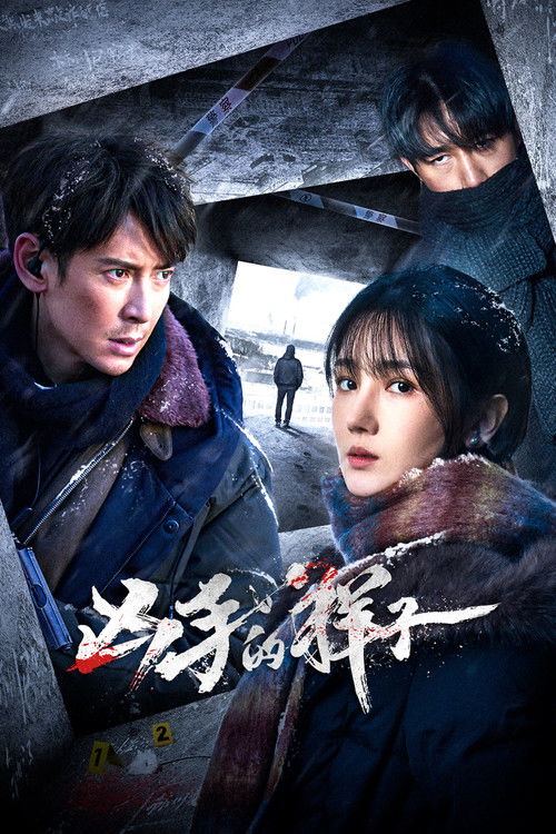 Póster de 凶手的样子