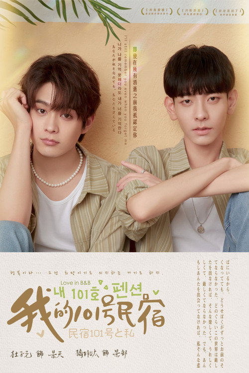 Póster de 我的101号民宿