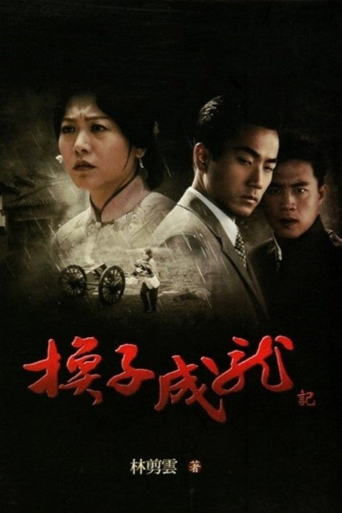 Póster de 换子成龙