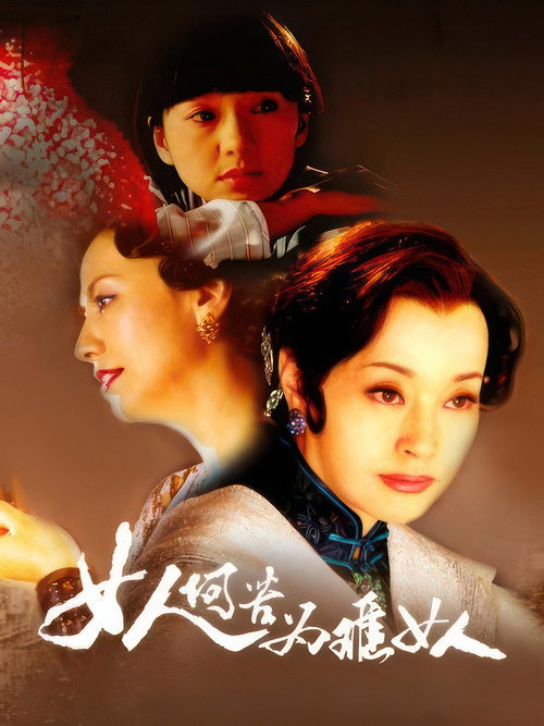 Póster de 女人何苦为难女人