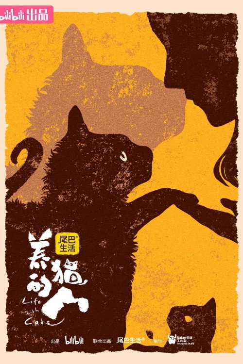 Póster de 养猫的人