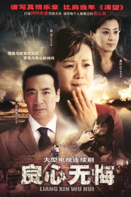 Póster de 良心无悔