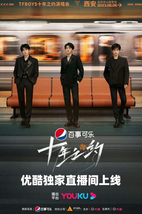 Póster de TFboys十年之约演唱会分场版