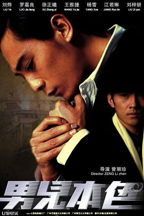 Póster de 男儿本色