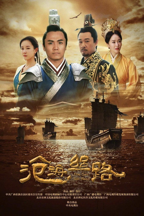 Póster de 沧海丝路