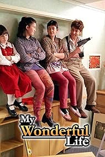 Póster de My Wonderful Life