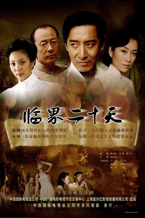 Póster de 临界二十天