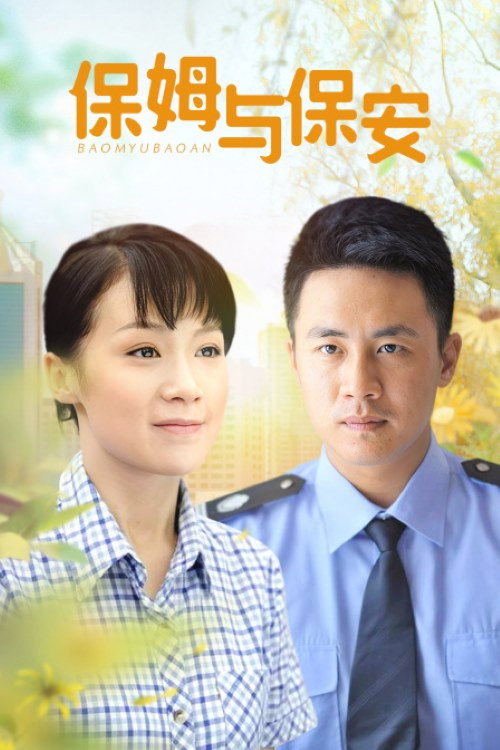 Póster de 保姆与保安