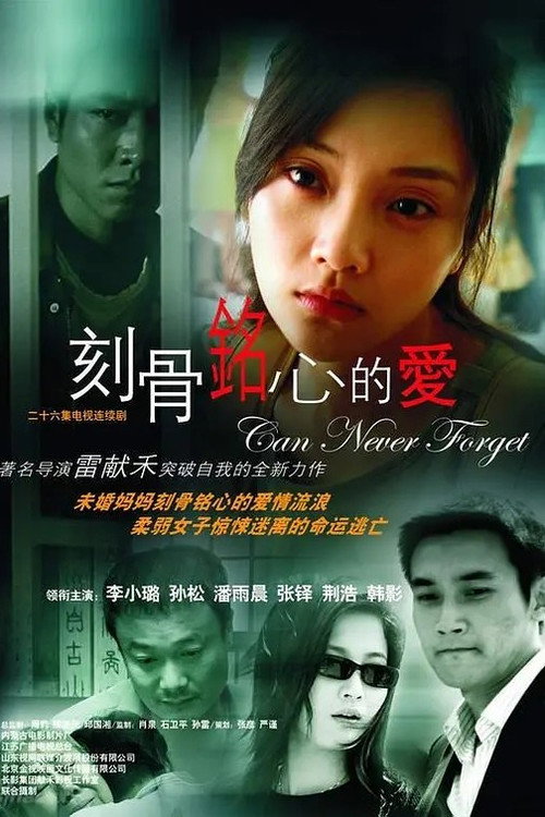 Póster de 刻骨铭心的爱