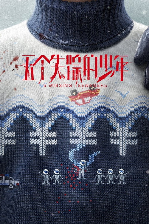 Póster de 五个失踪的少年